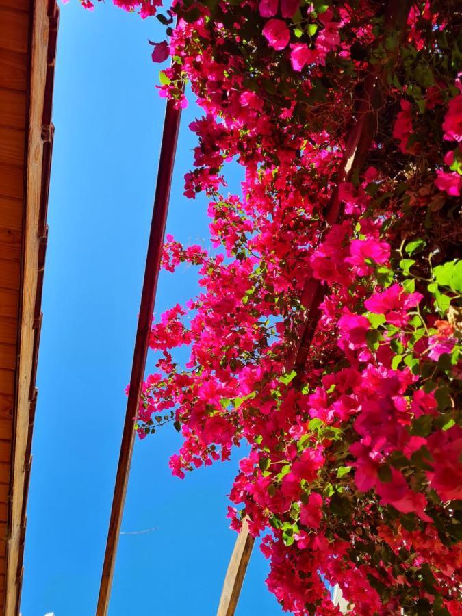 Veinticinco Casa De Huespedes Βίλα Μεντόζα Εξωτερικό φωτογραφία